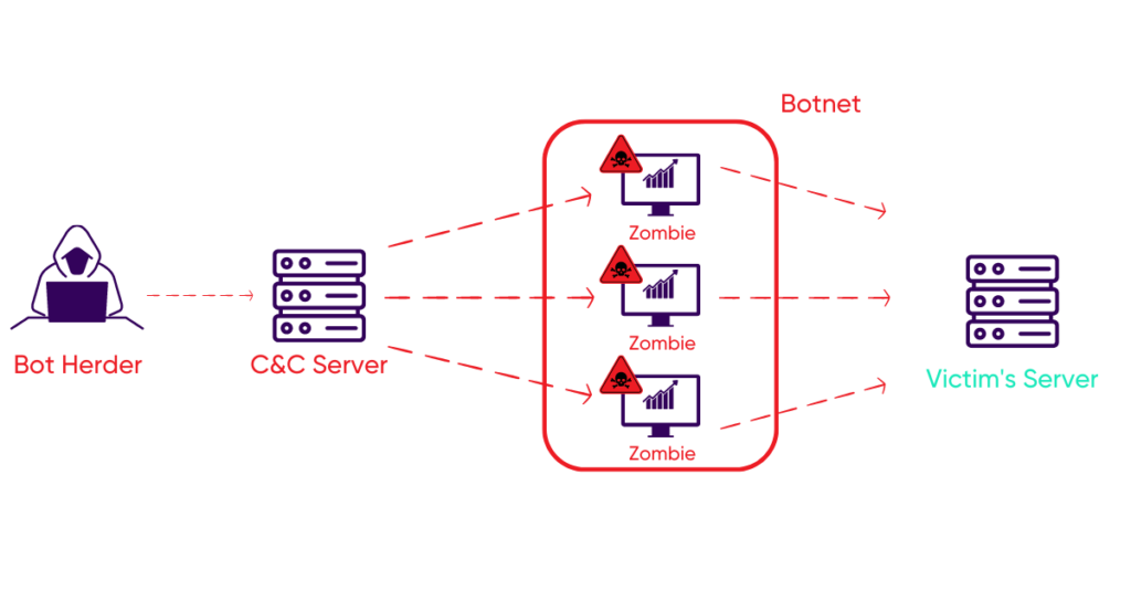 schéma "créer un réseau de zombies DDoS"